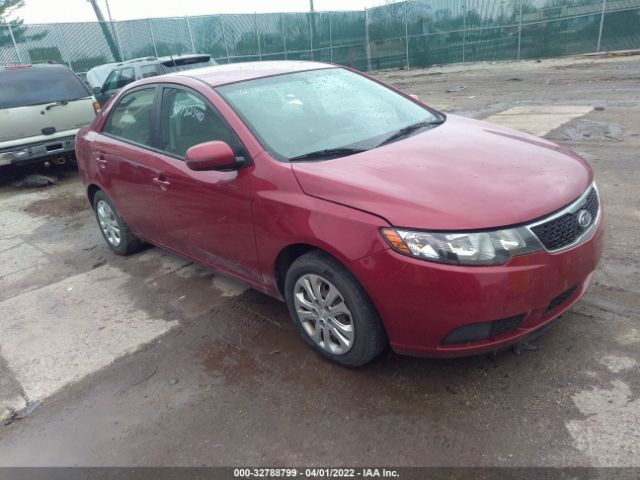 Photo 0 VIN: KNAFU4A20B5462941 - KIA FORTE 