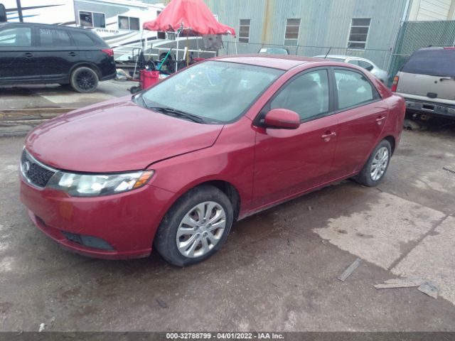 Photo 1 VIN: KNAFU4A20B5462941 - KIA FORTE 