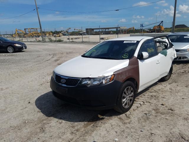 Photo 1 VIN: KNAFU4A20C5561549 - KIA FORTE EX 