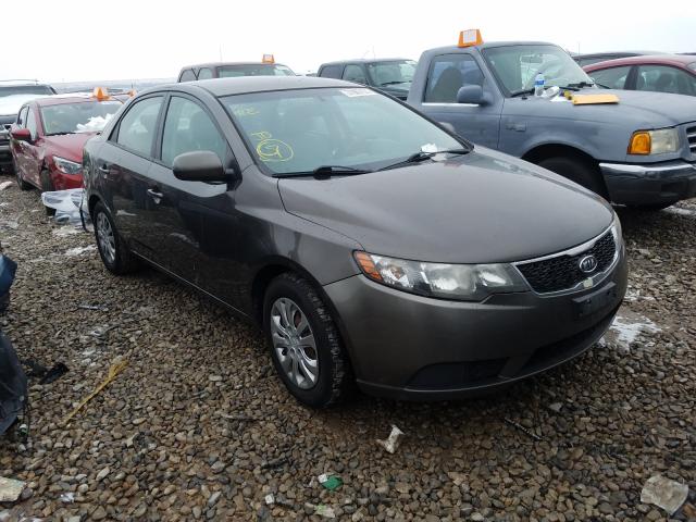 Photo 0 VIN: KNAFU4A20C5562314 - KIA FORTE EX 