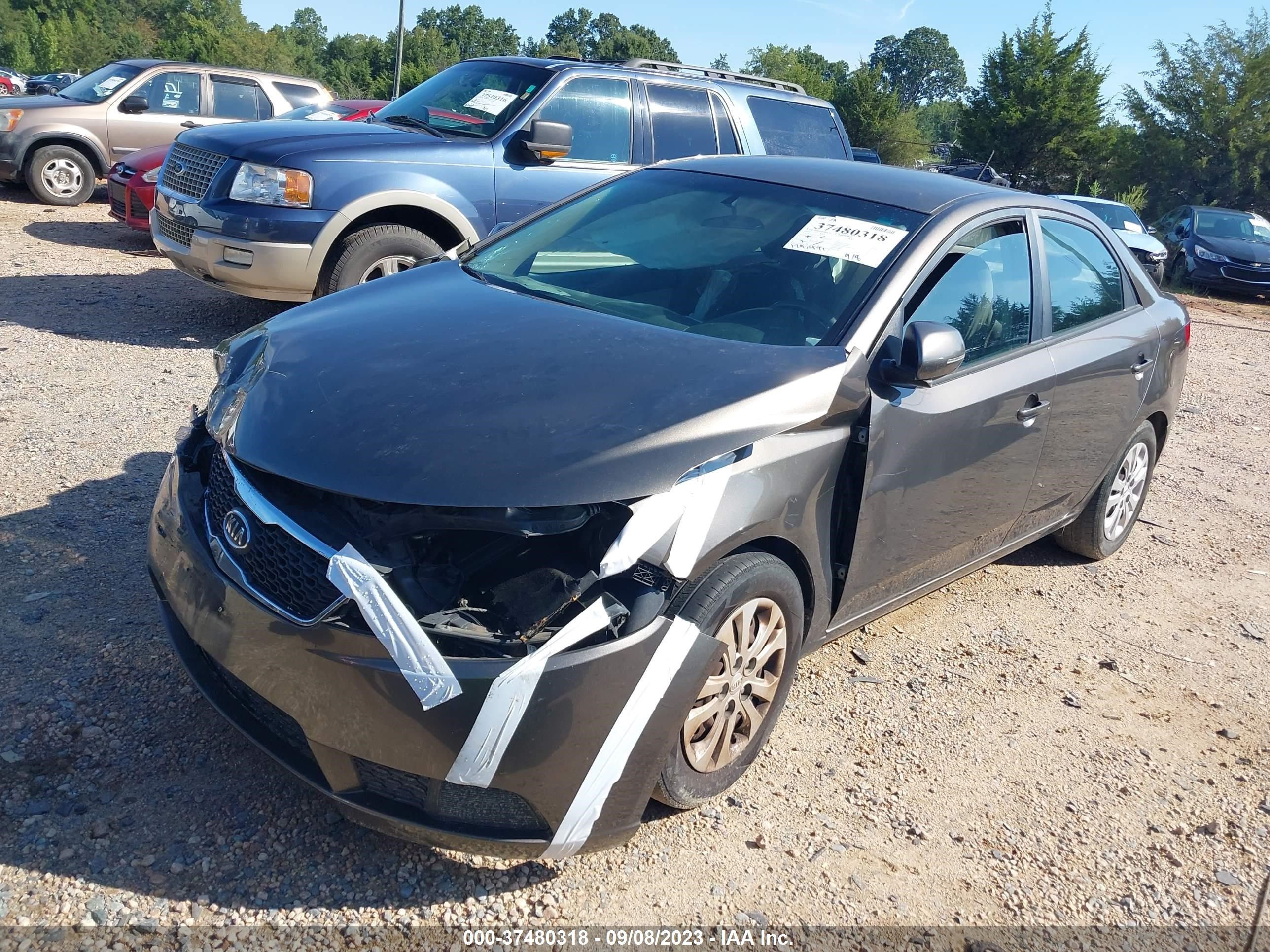 Photo 1 VIN: KNAFU4A20C5563057 - KIA FORTE 