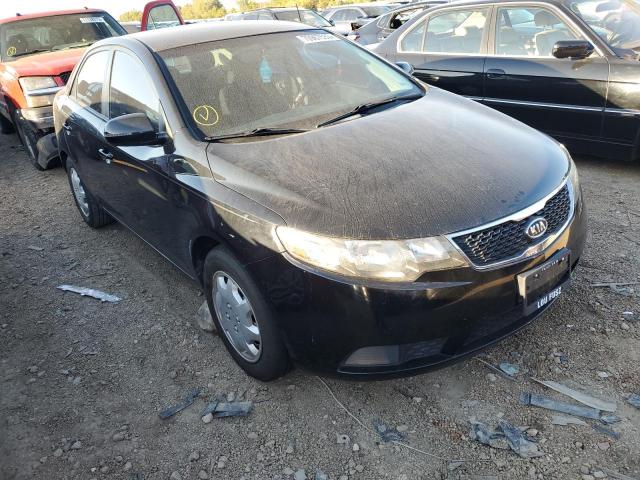 Photo 3 VIN: KNAFU4A20C5564466 - KIA FORTE EX 