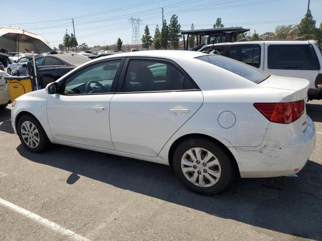 Photo 1 VIN: KNAFU4A20C5588959 - KIA FORTE EX 