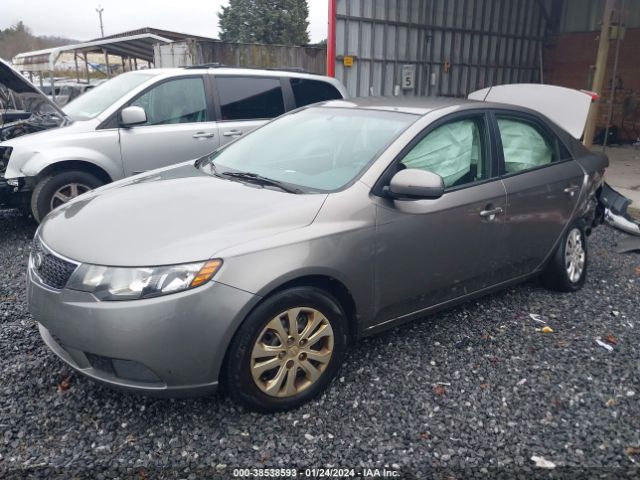 Photo 1 VIN: KNAFU4A20D5654279 - KIA FORTE 