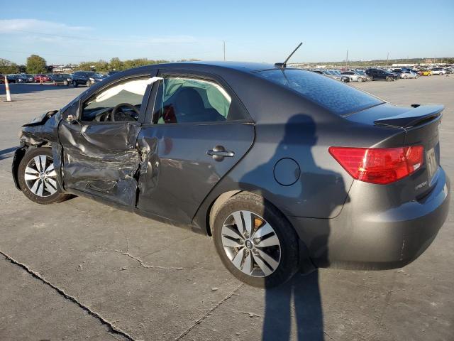 Photo 1 VIN: KNAFU4A20D5698685 - KIA FORTE 