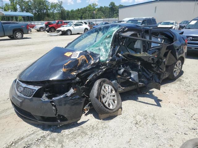 Photo 0 VIN: KNAFU4A20D5739820 - KIA FORTE EX 