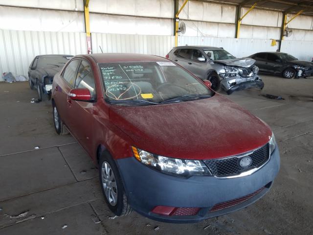 Photo 0 VIN: KNAFU4A21A5049537 - KIA FORTE EX 