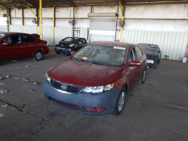 Photo 1 VIN: KNAFU4A21A5049537 - KIA FORTE EX 