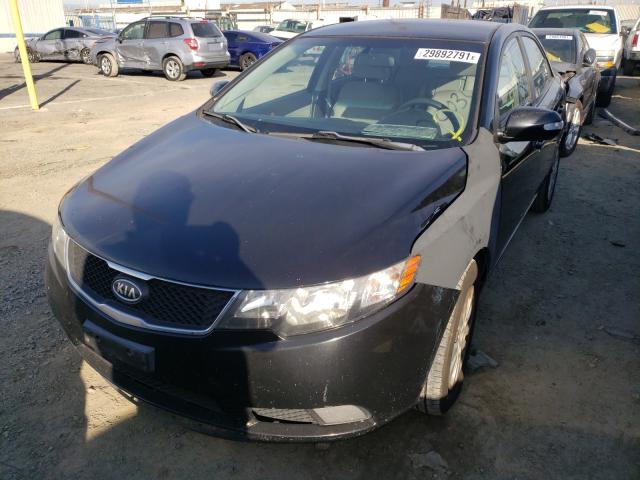 Photo 1 VIN: KNAFU4A21A5159441 - KIA FORTE EX 