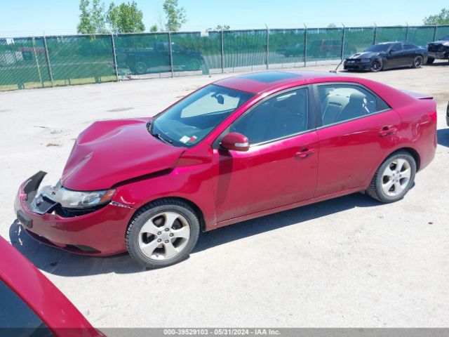 Photo 1 VIN: KNAFU4A21A5252752 - KIA FORTE 