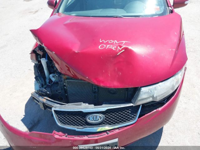 Photo 9 VIN: KNAFU4A21A5252752 - KIA FORTE 