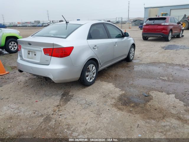 Photo 3 VIN: KNAFU4A21A5261662 - KIA FORTE 