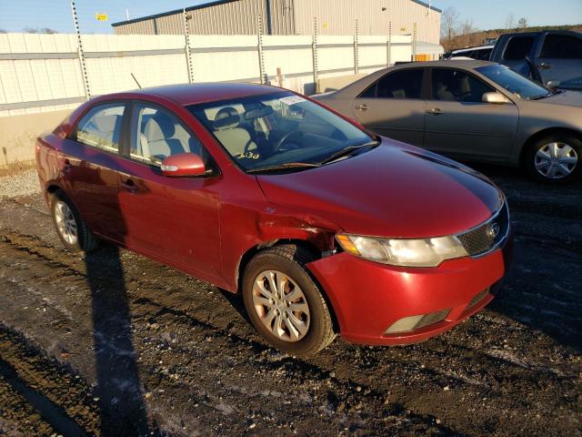 Photo 3 VIN: KNAFU4A21A5816920 - KIA FORTE EX 