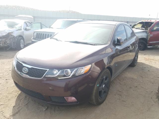 Photo 1 VIN: KNAFU4A21B5350455 - KIA FORTE EX 