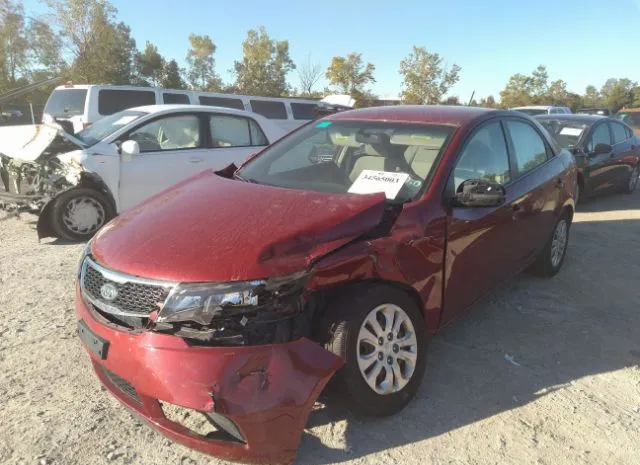 Photo 5 VIN: KNAFU4A21B5445176 - KIA FORTE 