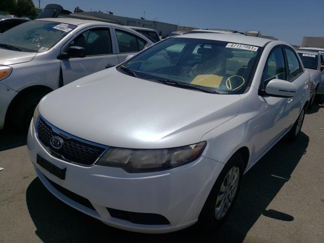 Photo 1 VIN: KNAFU4A21B5448532 - KIA FORTE EX 