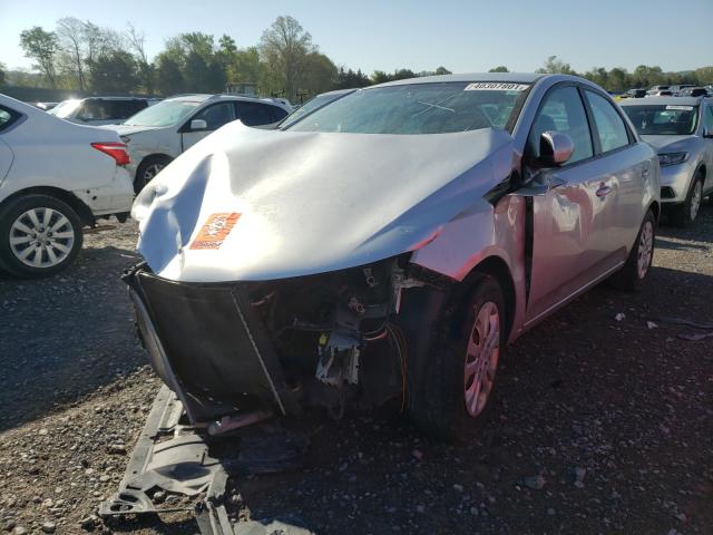 Photo 1 VIN: KNAFU4A21B5461572 - KIA FORTE EX 