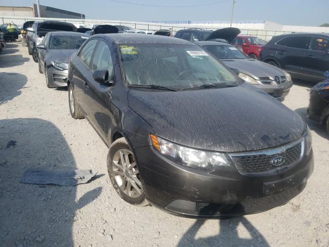 Photo 0 VIN: KNAFU4A21C5499126 - KIA FORTE EX 