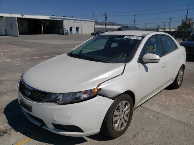 Photo 1 VIN: KNAFU4A21C5527555 - KIA FORTE EX 