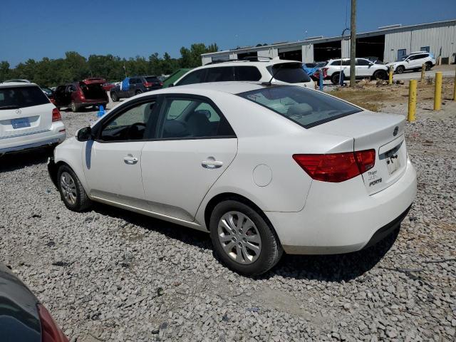 Photo 1 VIN: KNAFU4A21C5563455 - KIA FORTE EX 