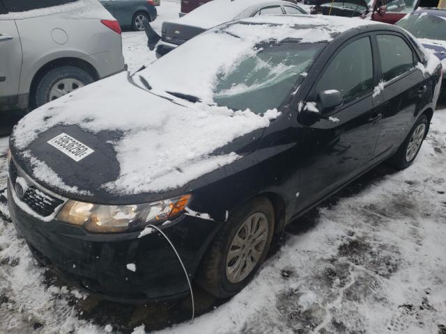 Photo 1 VIN: KNAFU4A21C5630250 - KIA FORTE EX 