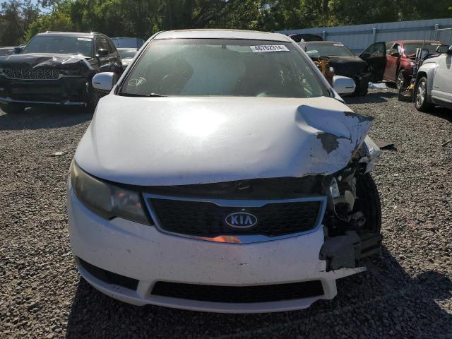 Photo 4 VIN: KNAFU4A21D5648216 - KIA FORTE 