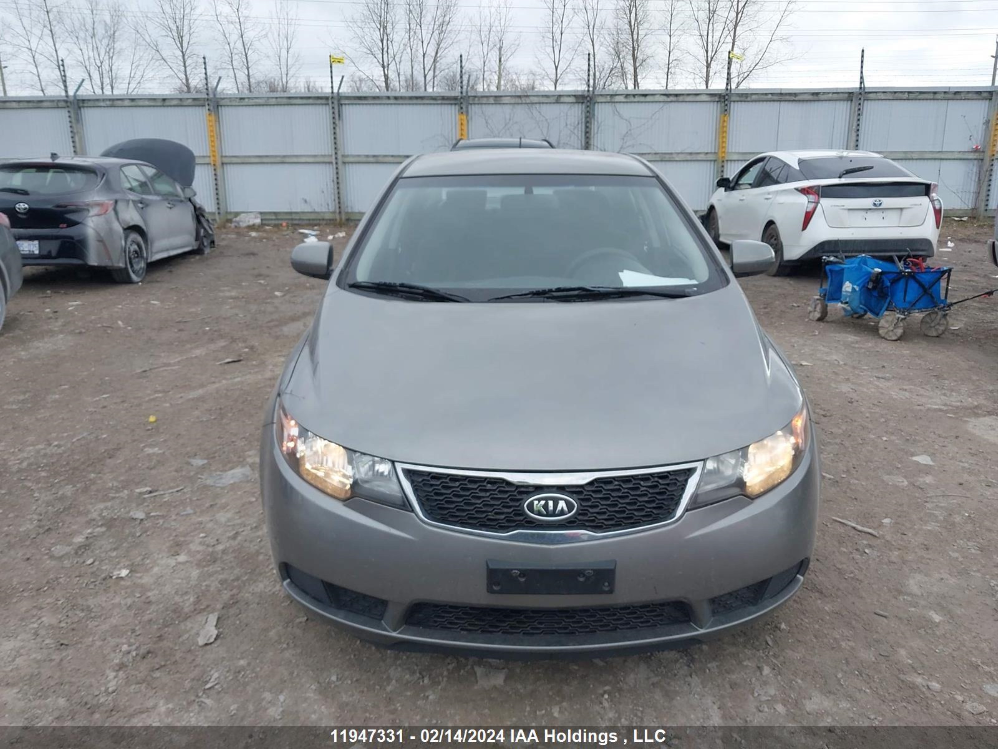 Photo 11 VIN: KNAFU4A21D5648653 - KIA FORTE 