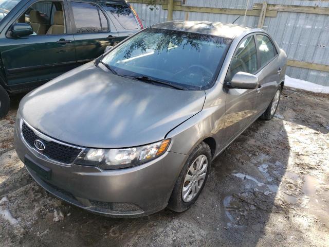 Photo 1 VIN: KNAFU4A21D5668790 - KIA FORTE EX 