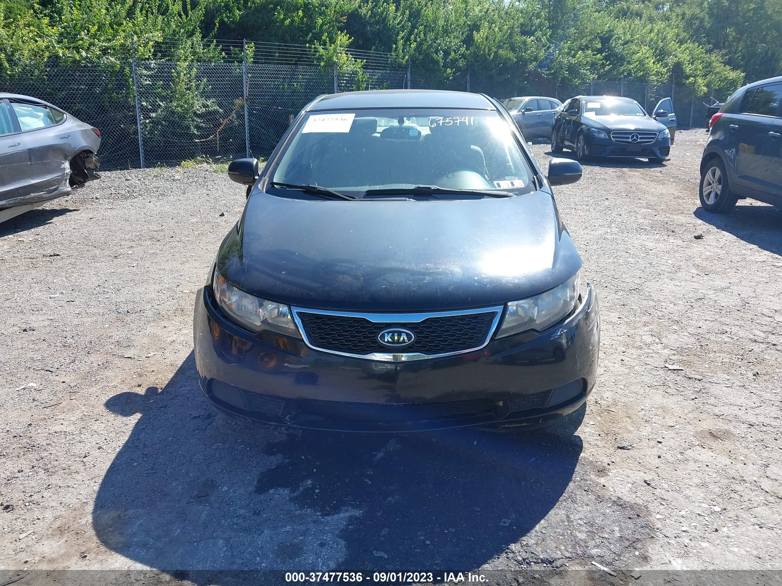 Photo 10 VIN: KNAFU4A21D5675741 - KIA FORTE 