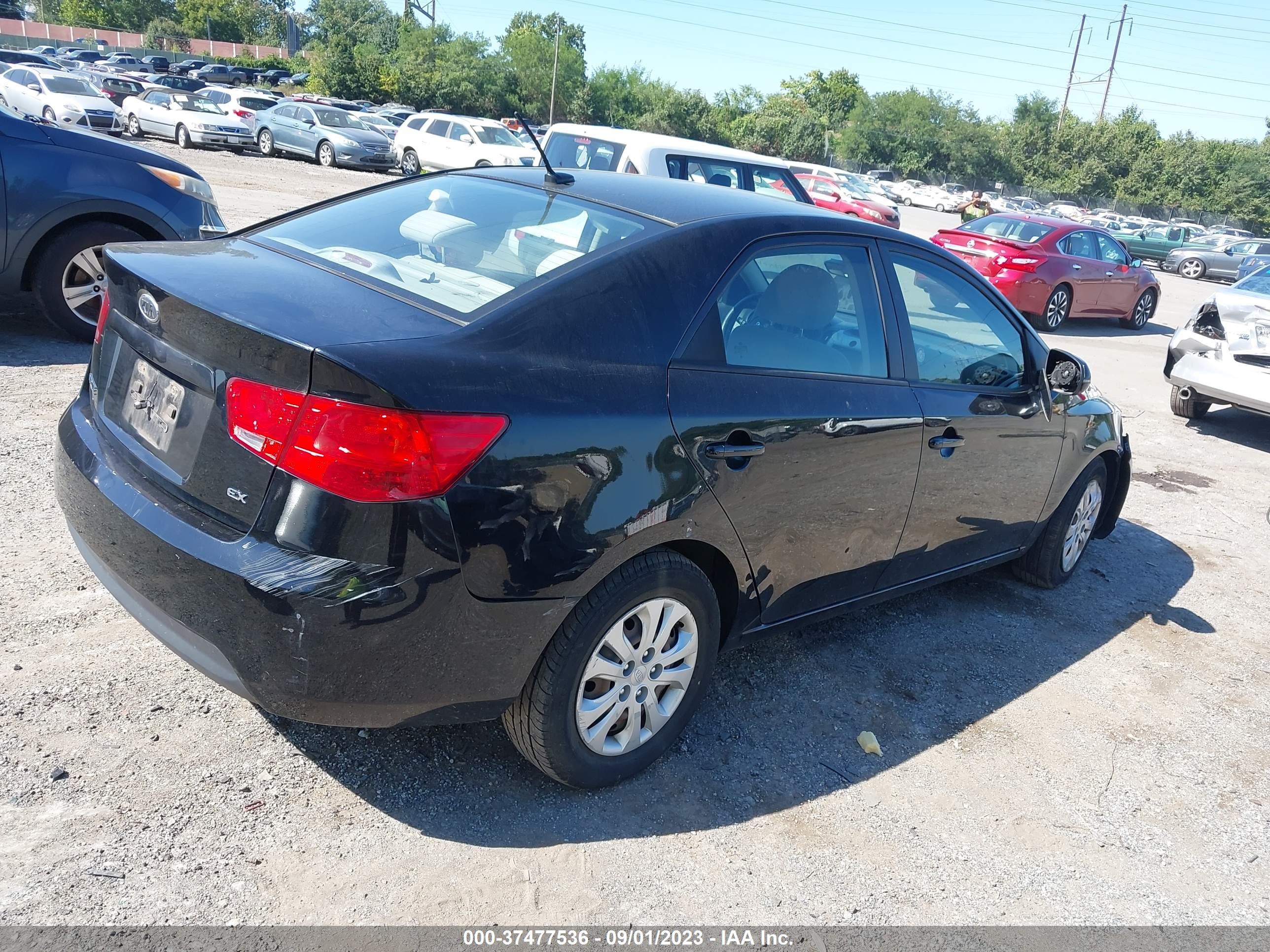 Photo 3 VIN: KNAFU4A21D5675741 - KIA FORTE 