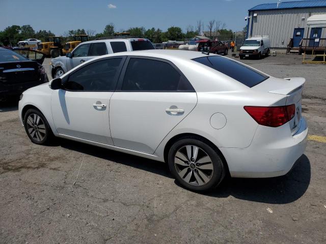 Photo 1 VIN: KNAFU4A21D5719057 - KIA FORTE EX 