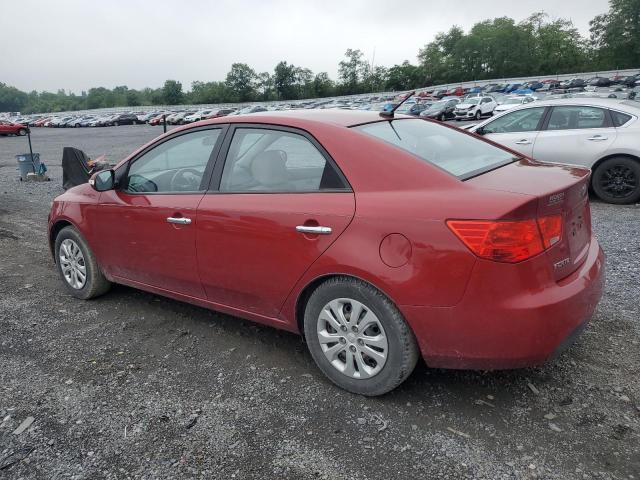 Photo 1 VIN: KNAFU4A22A5096981 - KIA FORTE EX 