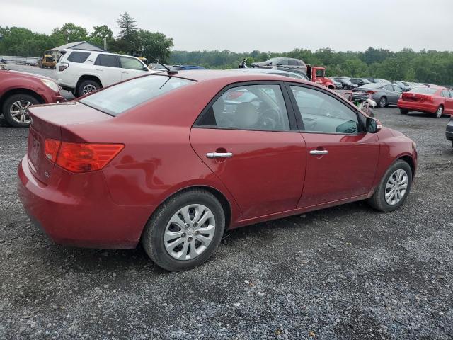 Photo 2 VIN: KNAFU4A22A5096981 - KIA FORTE EX 