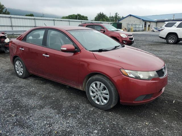 Photo 3 VIN: KNAFU4A22A5096981 - KIA FORTE EX 