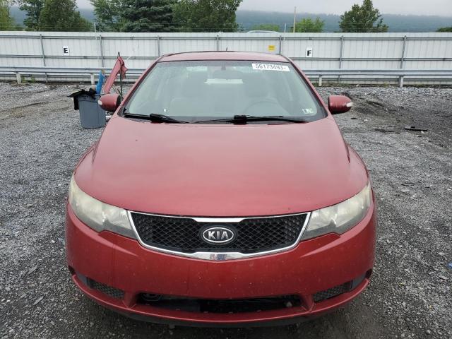 Photo 4 VIN: KNAFU4A22A5096981 - KIA FORTE EX 