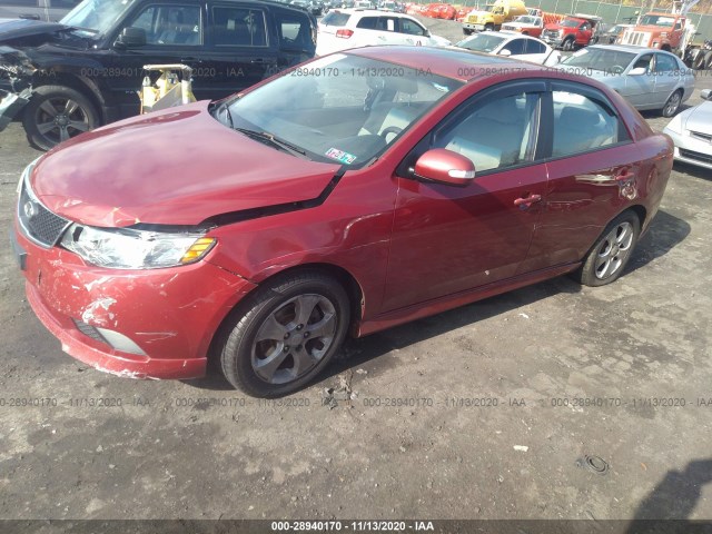 Photo 1 VIN: KNAFU4A22A5109681 - KIA FORTE 