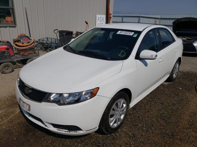 Photo 1 VIN: KNAFU4A22A5178712 - KIA FORTE EX 