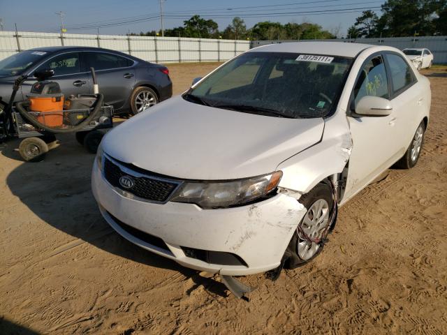 Photo 1 VIN: KNAFU4A22B5366003 - KIA FORTE EX 