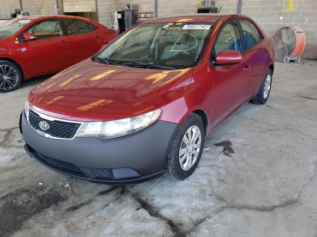 Photo 1 VIN: KNAFU4A22B5381049 - KIA FORTE EX 