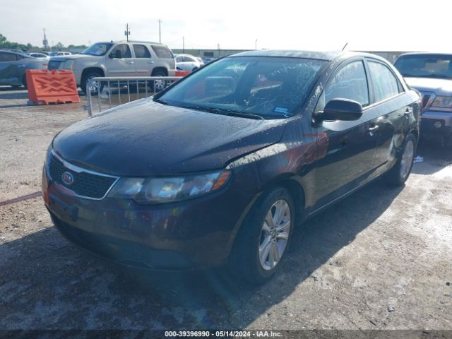 Photo 1 VIN: KNAFU4A22B5385585 - KIA FORTE 