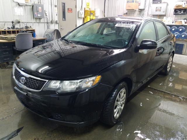 Photo 1 VIN: KNAFU4A22B5461466 - KIA FORTE EX 