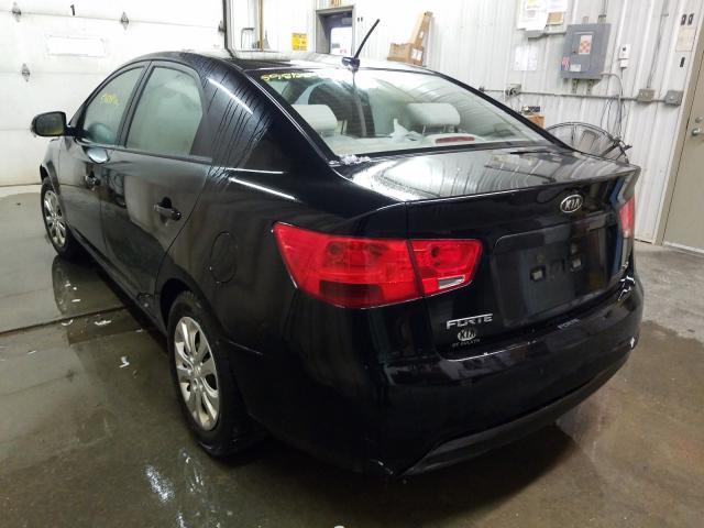 Photo 2 VIN: KNAFU4A22B5461466 - KIA FORTE EX 