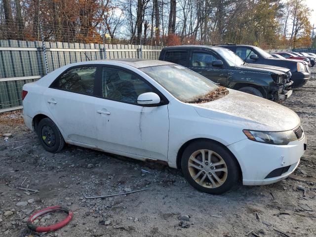 Photo 3 VIN: KNAFU4A22C5481878 - KIA FORTE EX 