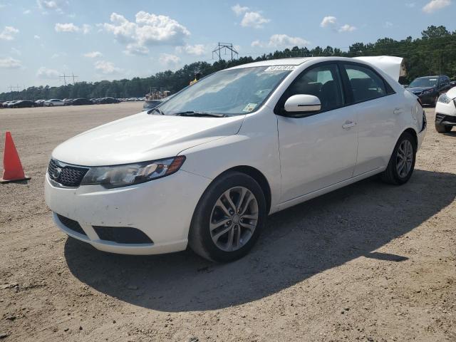 Photo 0 VIN: KNAFU4A22C5634629 - KIA FORTE 