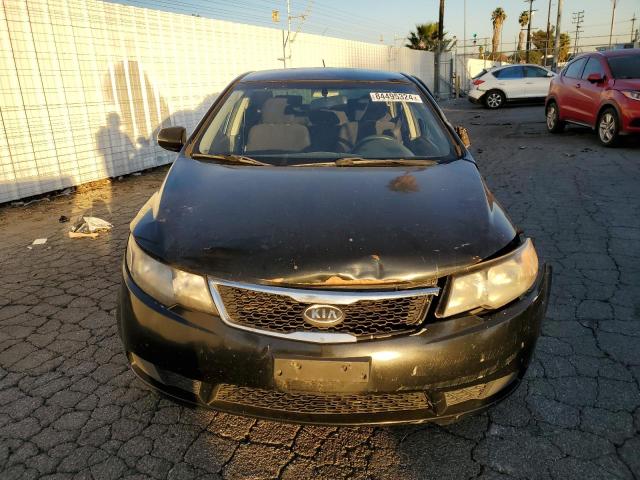 Photo 4 VIN: KNAFU4A22D5671696 - KIA FORTE EX 