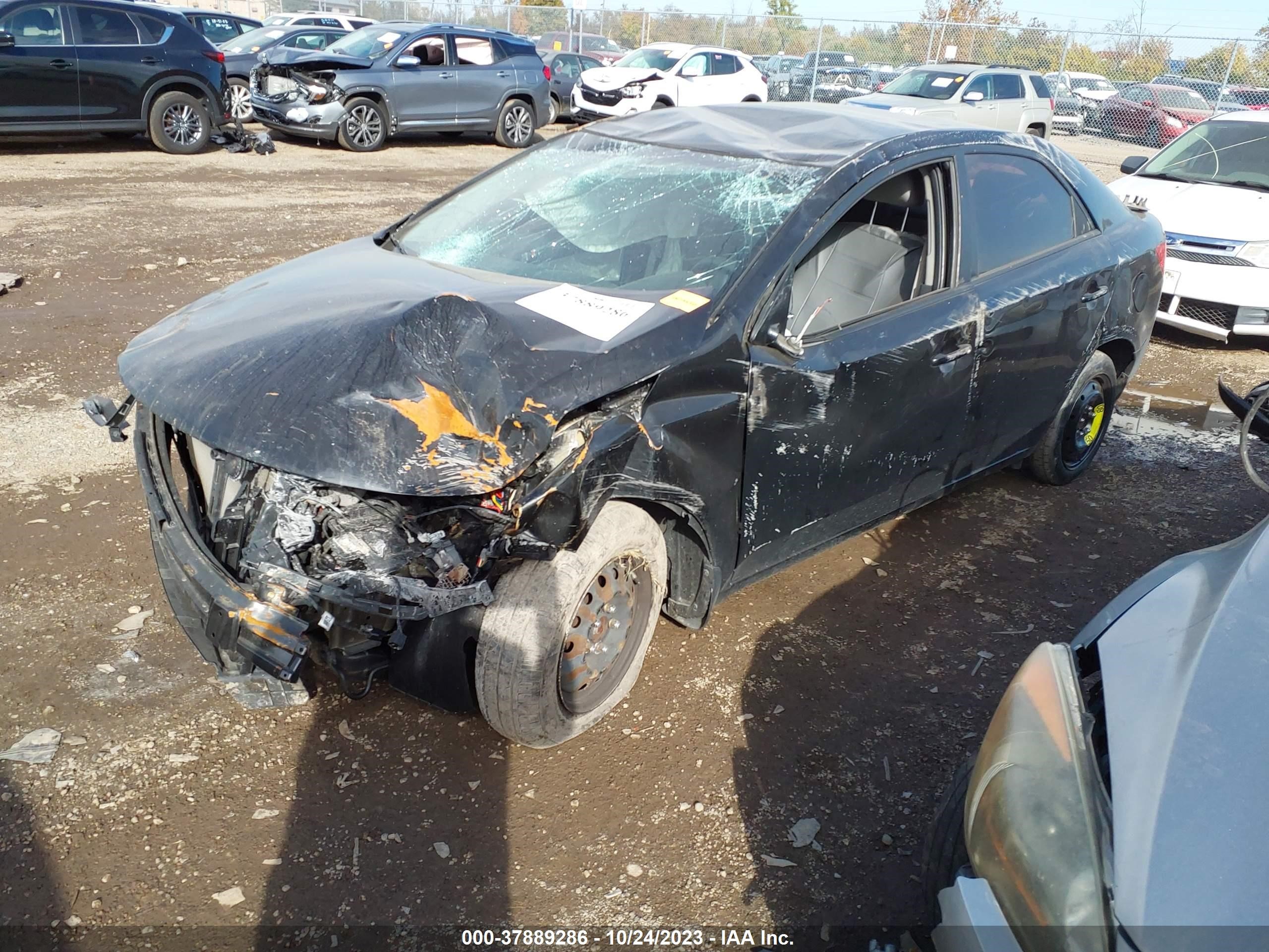 Photo 1 VIN: KNAFU4A22D5685825 - KIA FORTE 