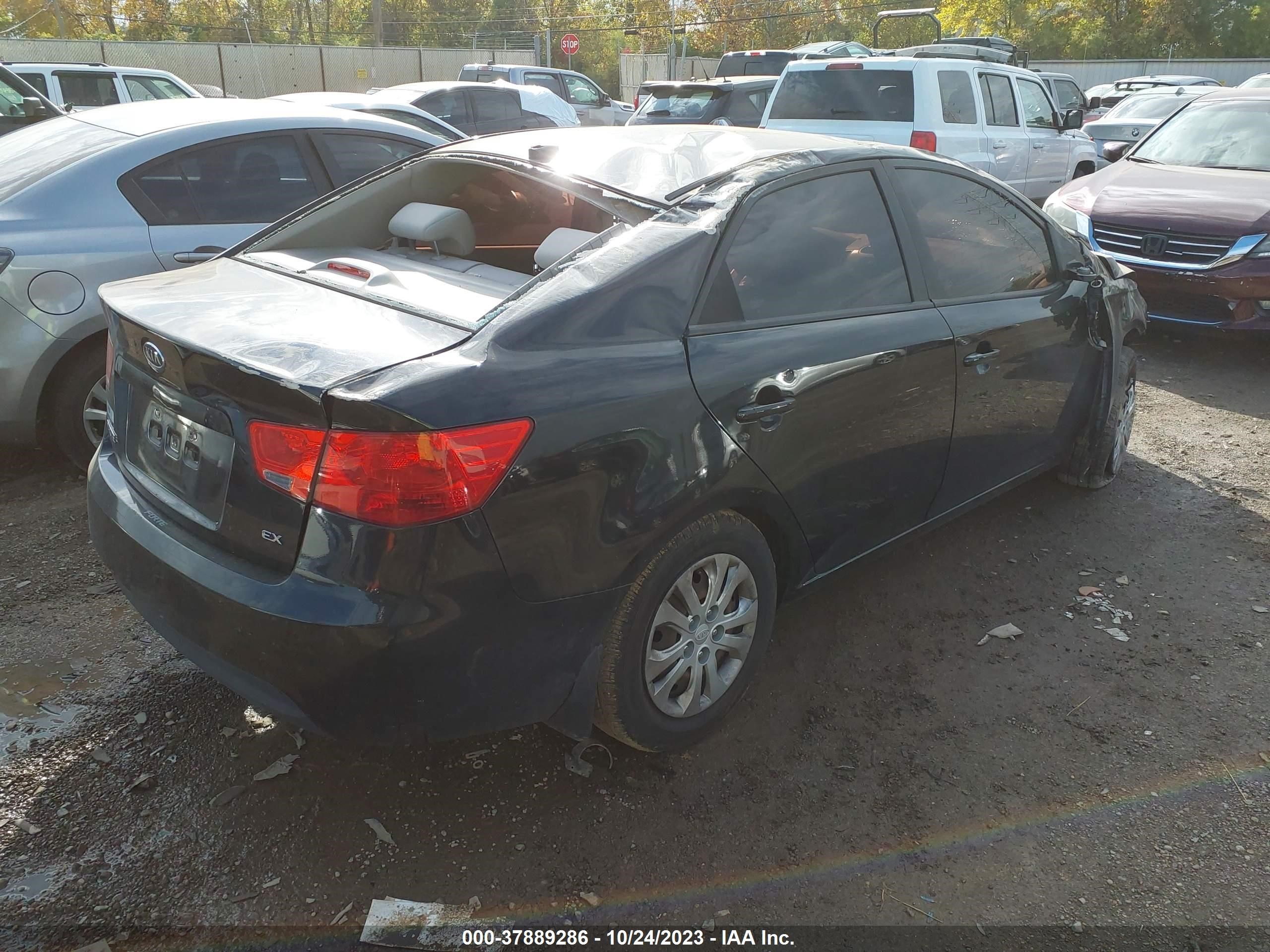 Photo 3 VIN: KNAFU4A22D5685825 - KIA FORTE 