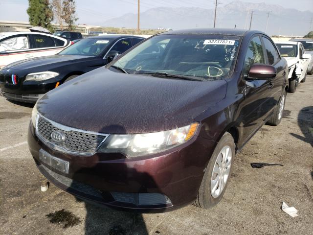 Photo 1 VIN: KNAFU4A23B5413636 - KIA FORTE EX 