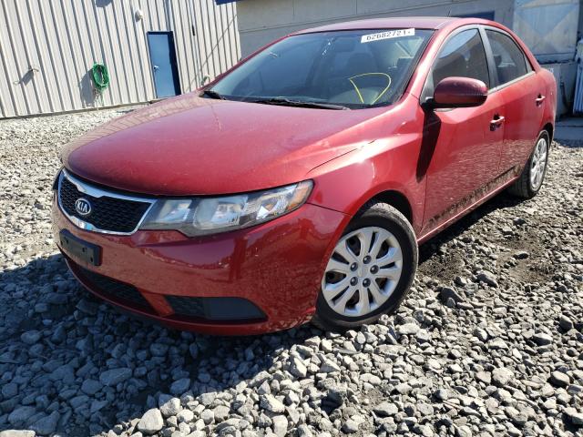 Photo 1 VIN: KNAFU4A23B5452453 - KIA FORTE EX 