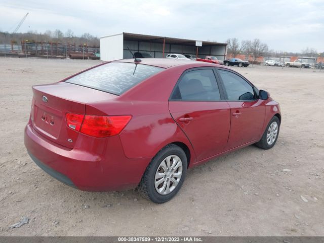 Photo 3 VIN: KNAFU4A23B5461962 - KIA FORTE 